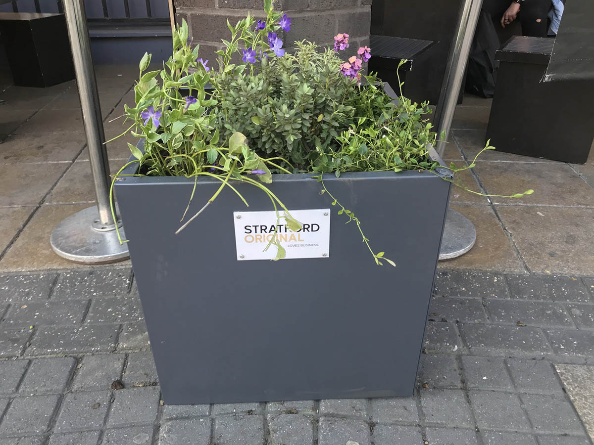 Adopt – A – Planter Update