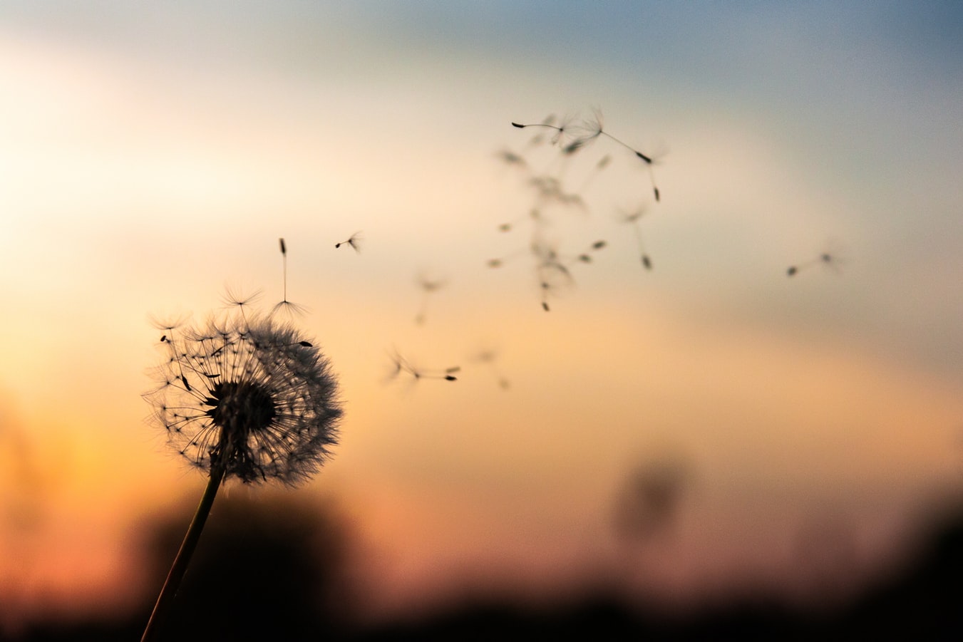 Mental Health and Wellbeing