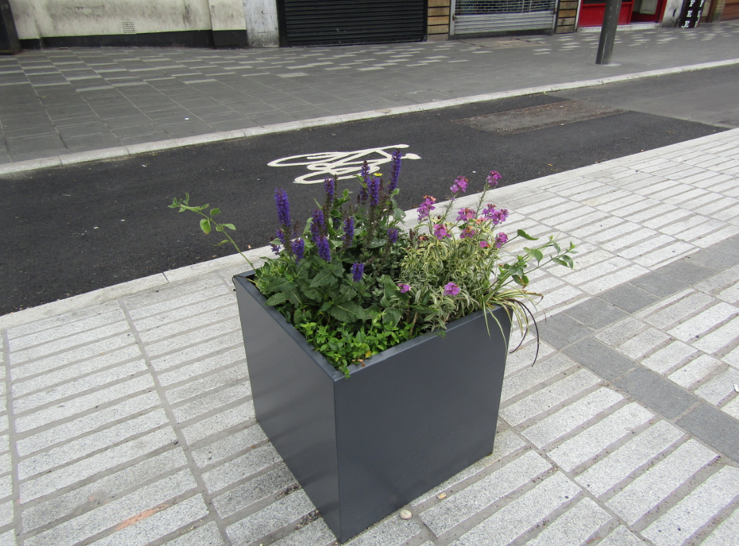Adopt a planter is back!