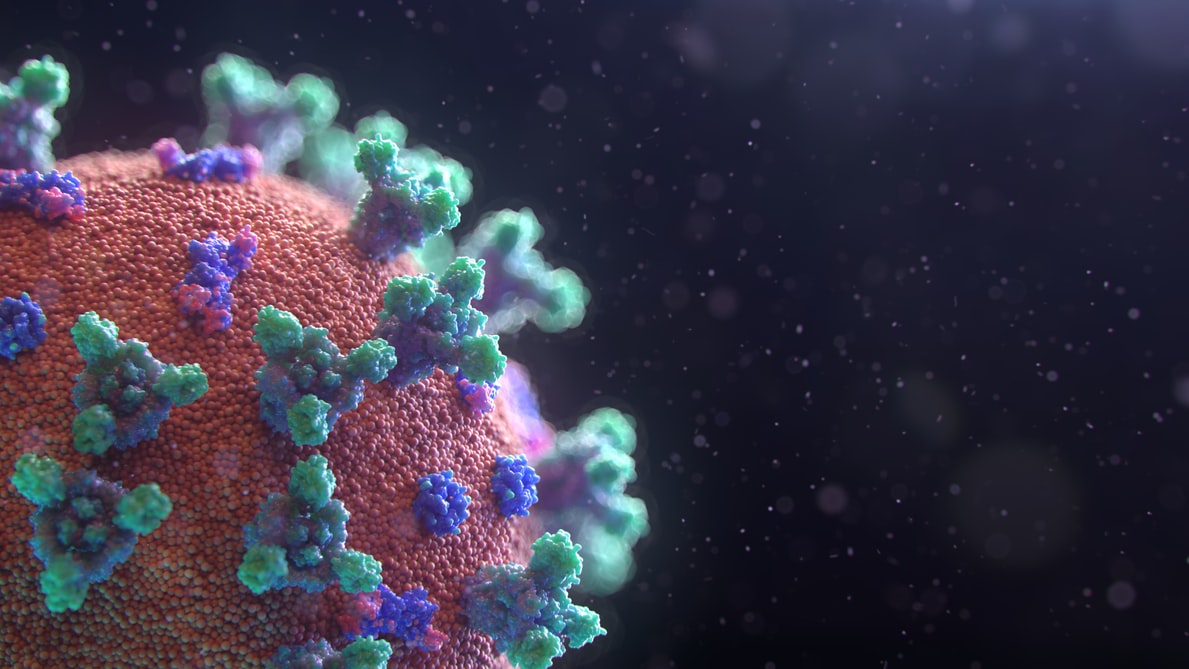 Offer coronavirus (COVID-19) support from your business