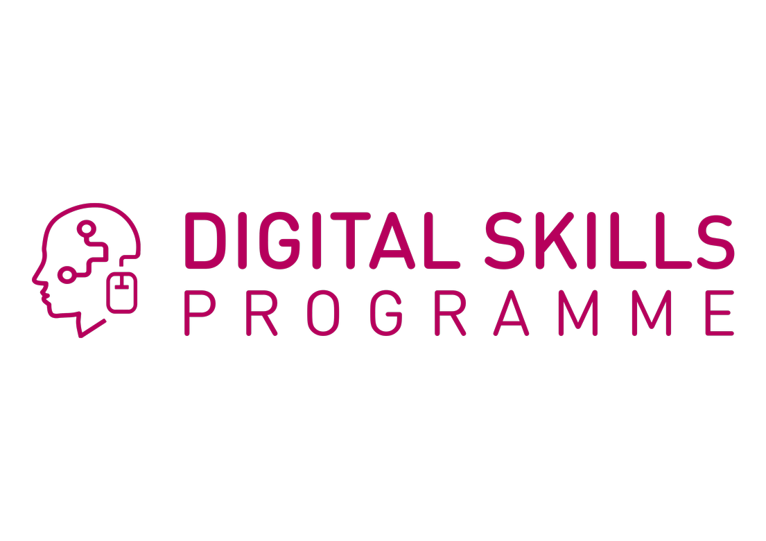 Digital Skills Programme