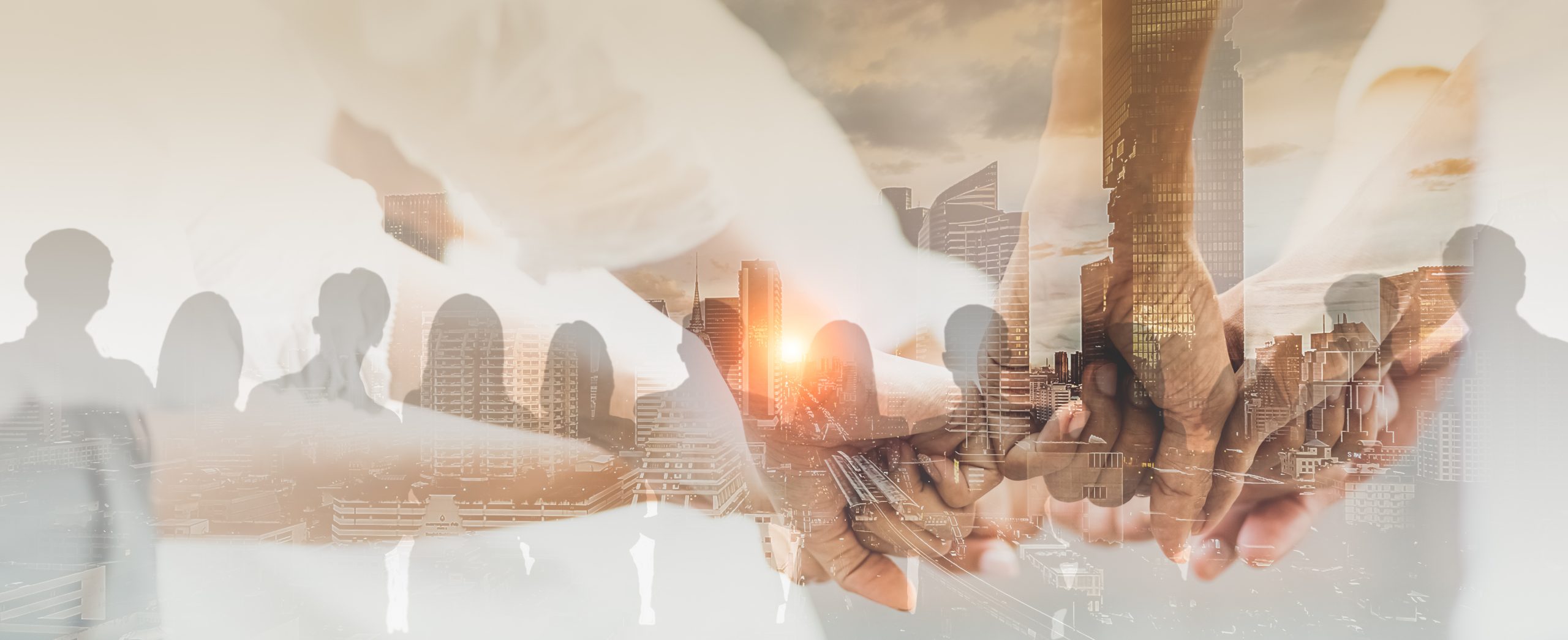 Sign up to Better Futures+ to access free business support