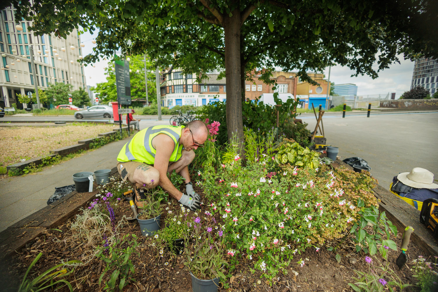 Pest Control Works on Burford Road Planters